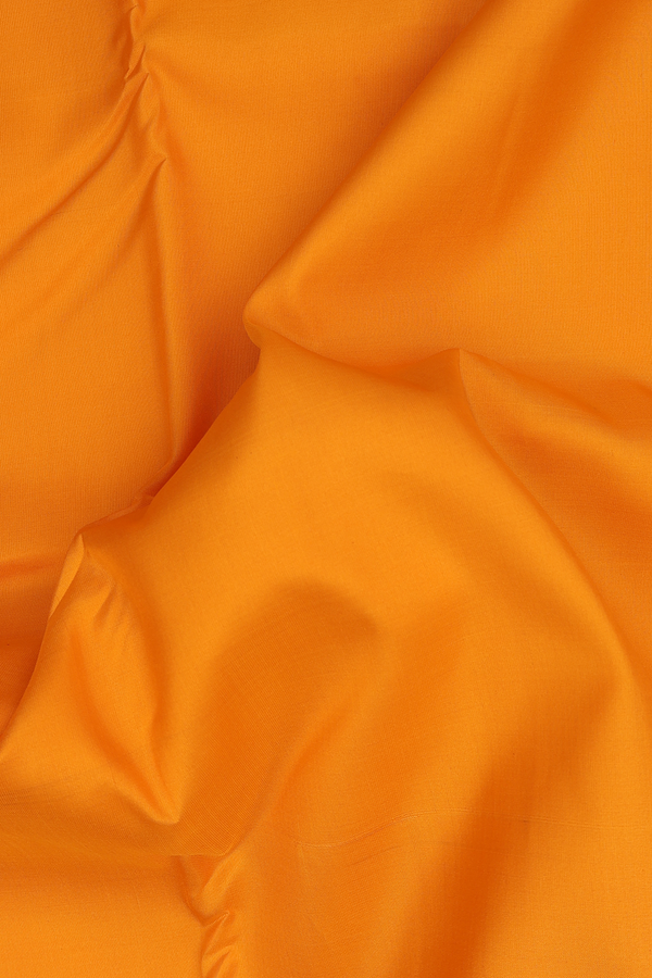 Nine Yards Silk Saree In Orange With Arai Madam Border