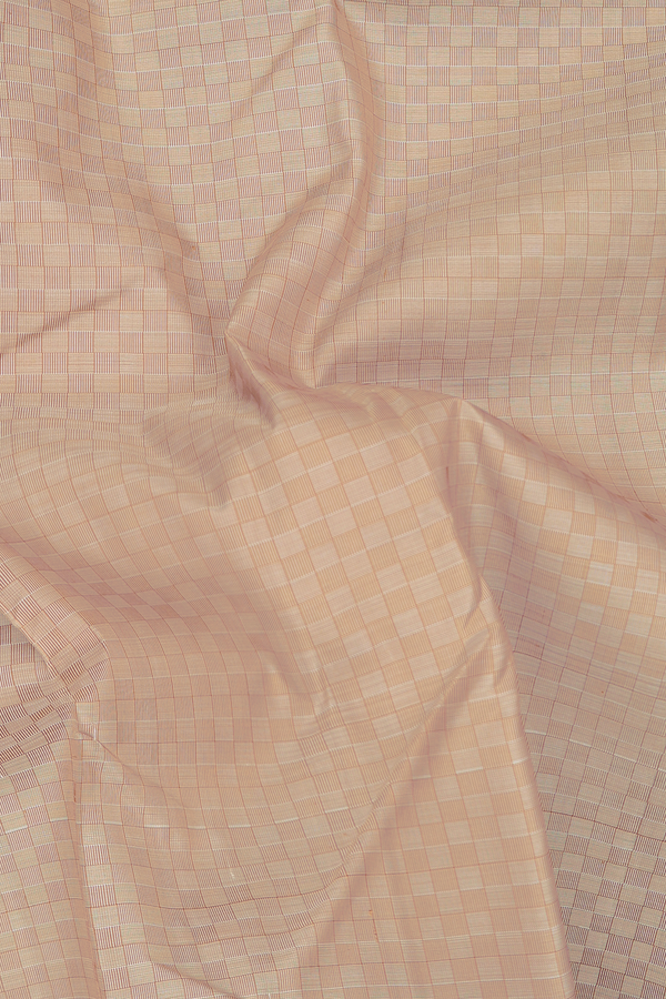 Kanchipuram Silk Saree In Light Brown With Paai Madippu Kattam