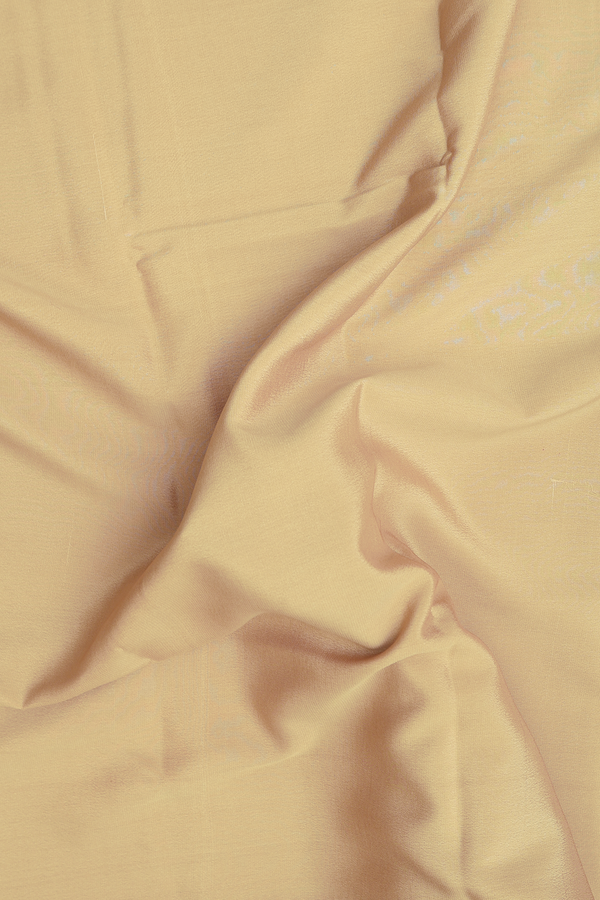 Mysore Silk Saree In Khaki With Contrast Border
