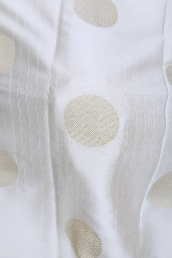 Mysore Silk Saree In Light Grey With Circle Motifs