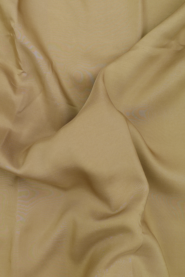 Mysore Silk Saree In Khaki With Contrast Border