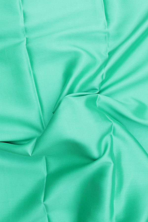 Mysore Silk Saree In Plain Mint Blue With Paisley Border