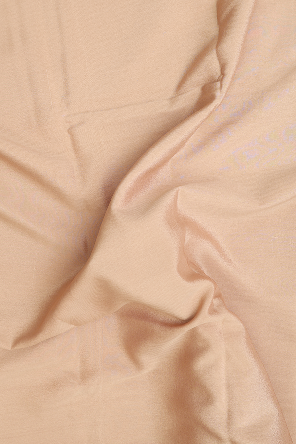 Mysore Silk Saree In Khaki With Contrast Border