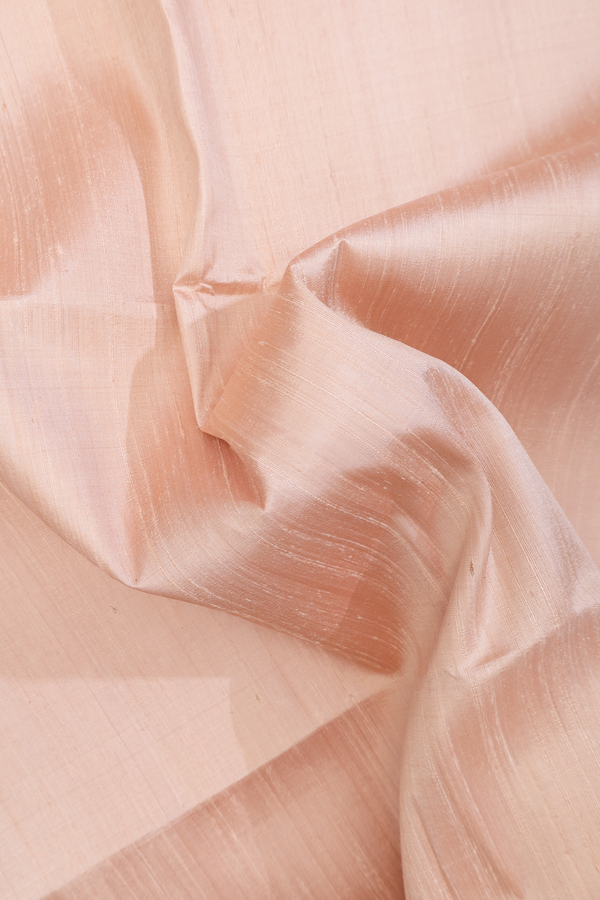 Raw Silk Saree In Ivory With Zari Border