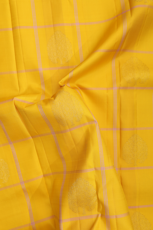Kanchipuram Silk Saree Honey Yellow Along Checks With Motifs
