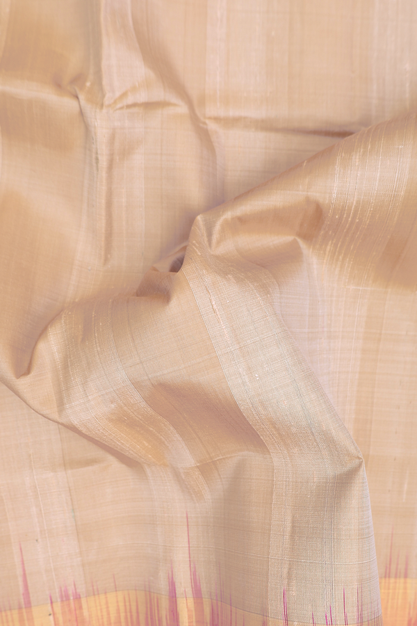 Raw Silk Saree In Light Brown With Ganga Jamuna Border