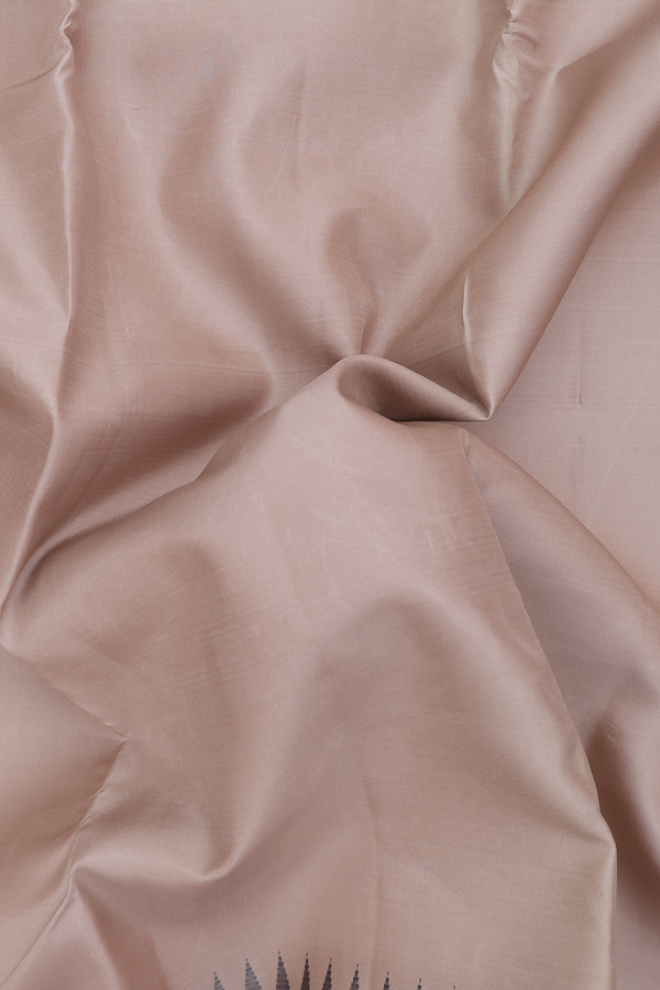 Kanchipuram Silk Saree Light Brown With Rettai Pettu Border