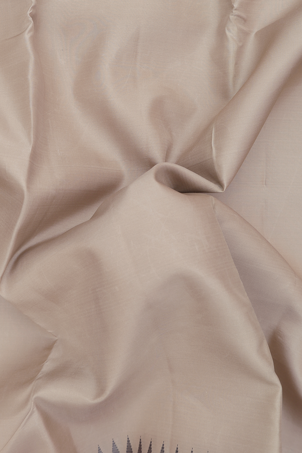 Kanchipuram Silk Saree Light Brown With Rettai Pettu Border