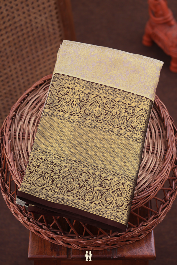 Kanchipuram Silk Saree In Grey With Brocade Design