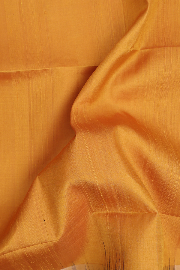 Raw Silk Saree In Honey Orange With Ganga Jamuna Border