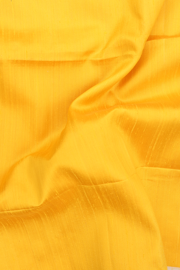 Raw Silk Saree In Honey Yellow With Bavanchi Border