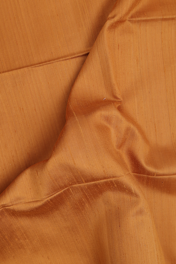 Raw Silk Saree In Ochre Orange With Zari Pallu
