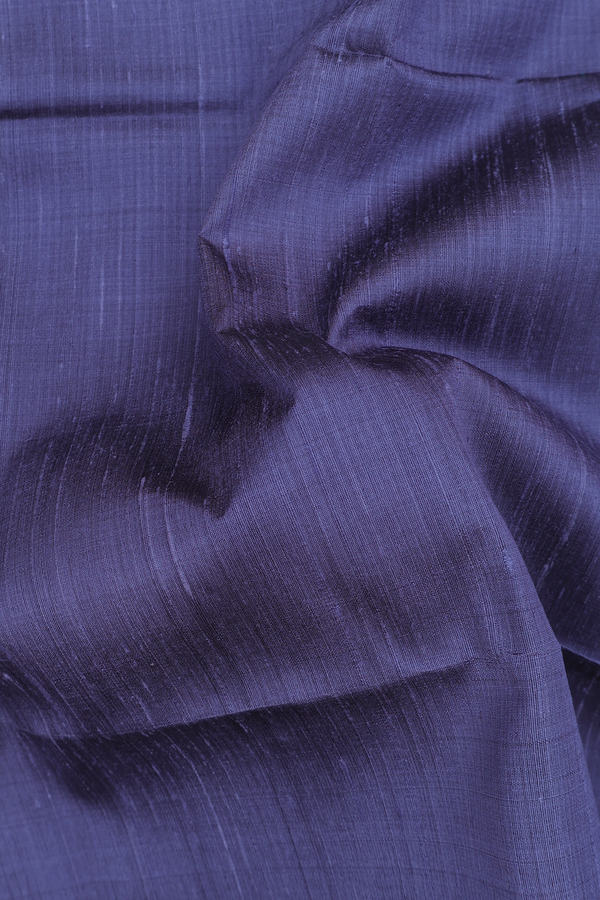 Raw Silk Saree In Pigeon Blue With Bavanchi Border