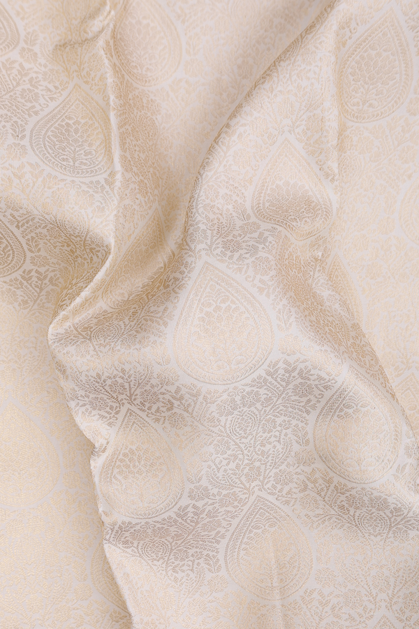 Kanchipuram Silk Saree In White With Brocade Design