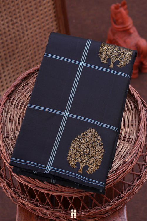 Kanchipuram Silk Saree In Black With Checks Design