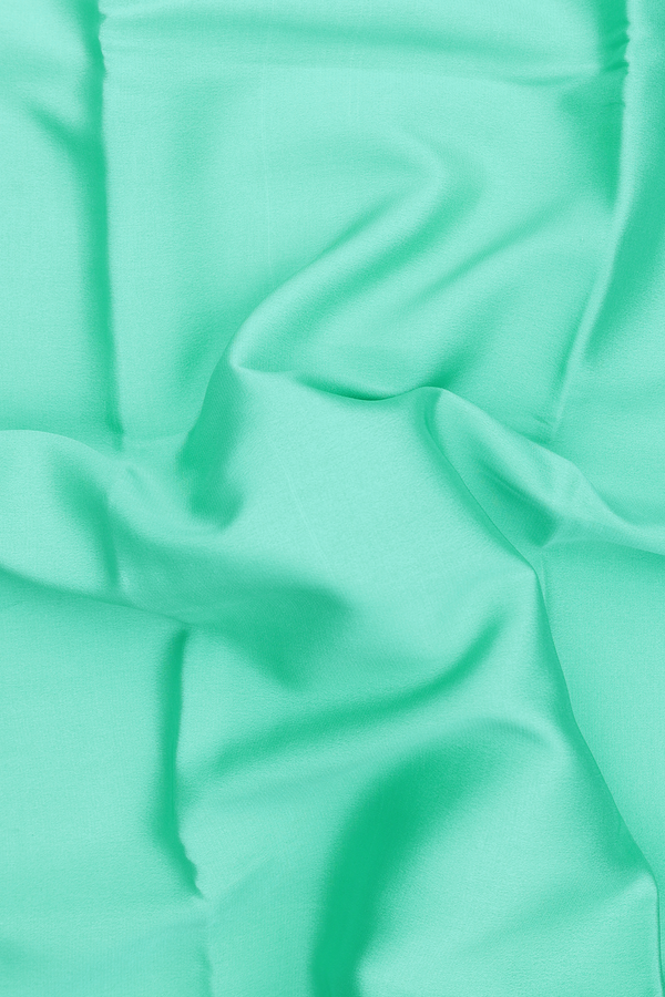 Mysore Silk Saree In Mint Green With Zari Border