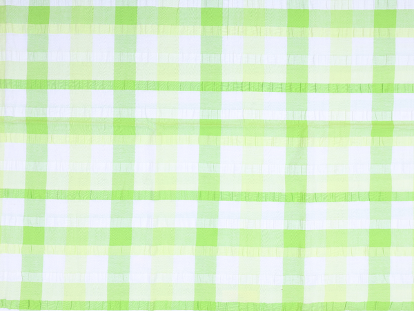 Checks Design Green And White Cotton Single Bedspread