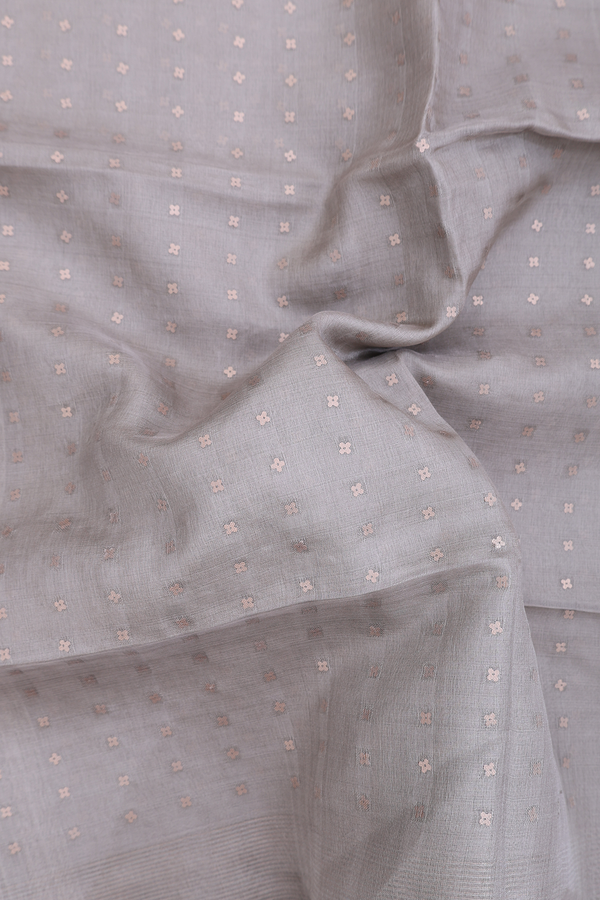 Bailu Silk Saree In Grey With Chamki Work