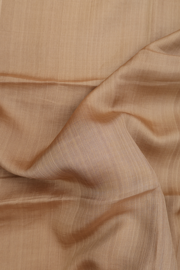 Bailu Silk Saree In Plain Brown With Chamki Border