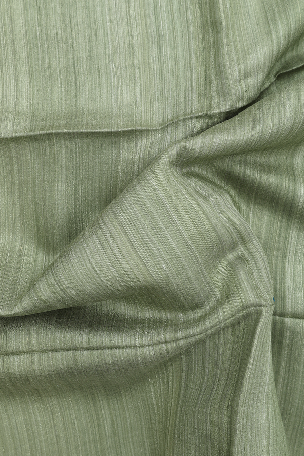 Bailu Silk Saree In Plain Green With Chamki Work Pallu
