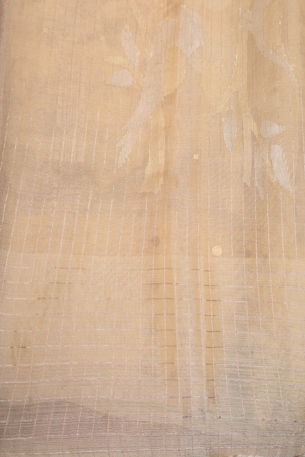 Bailu Silk Saree Yellowish Beige With Birds Printed Design