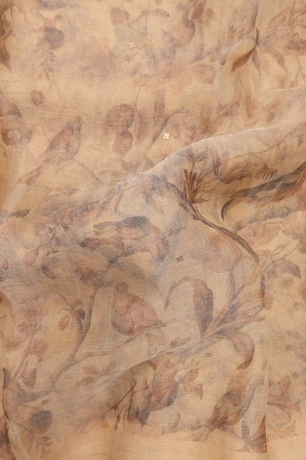 Bailu Silk Saree Yellowish Beige With Birds Printed Design