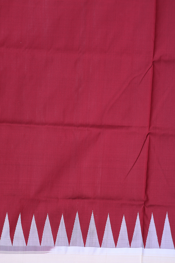 Pochampally Silk Saree In Plain White With Contrast Border