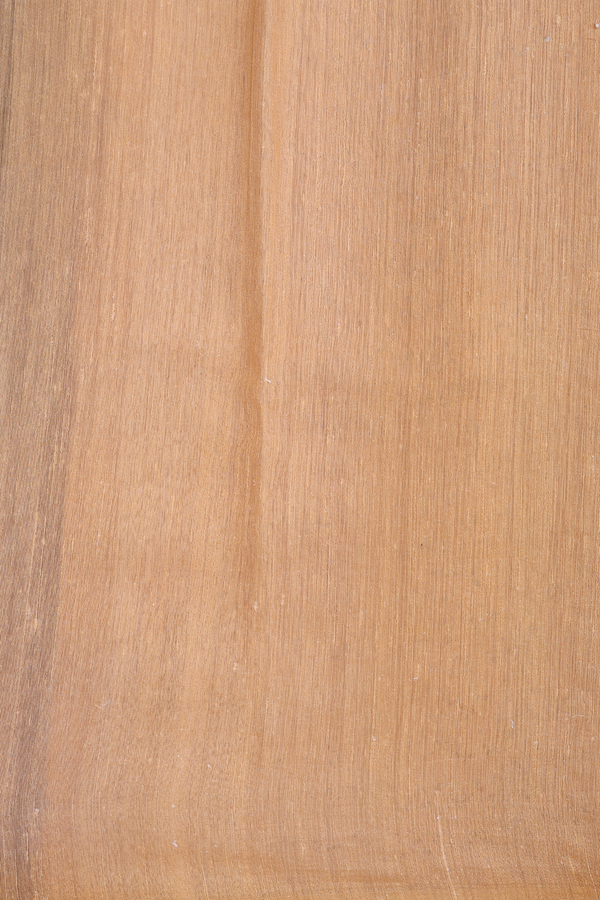 Bailu Silk Saree In Blush Orange With Floral Design