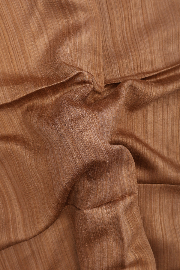 Bailu Silk Saree In Brown With Zari Border