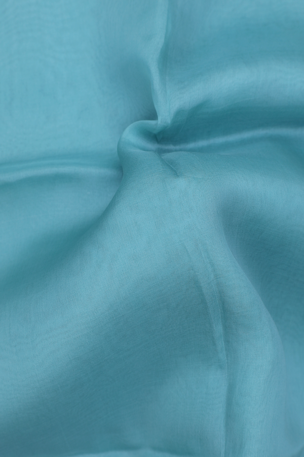 Organza Silk Saree In Turkish Blue With Threadwork Border