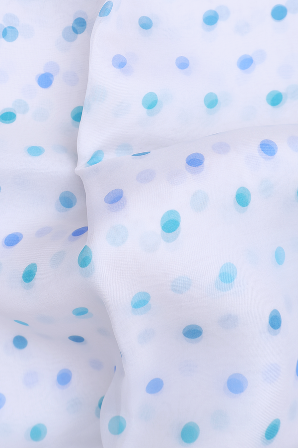 Organza Silk Saree In White With Polka Buttas
