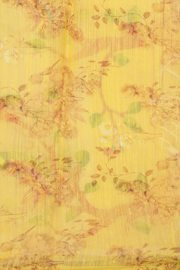 Organza Silk Saree In Off White With Floral Design