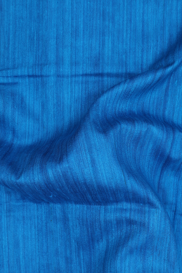 Tussar Silk Saree In Plain Blue With Madhubani Border