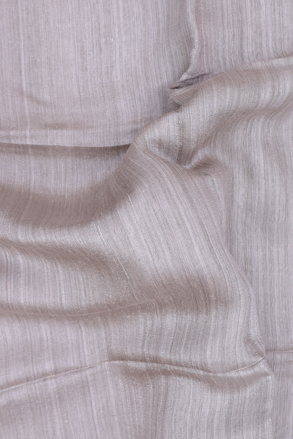 Bailu Silk Saree In Light Grey With Zari Border