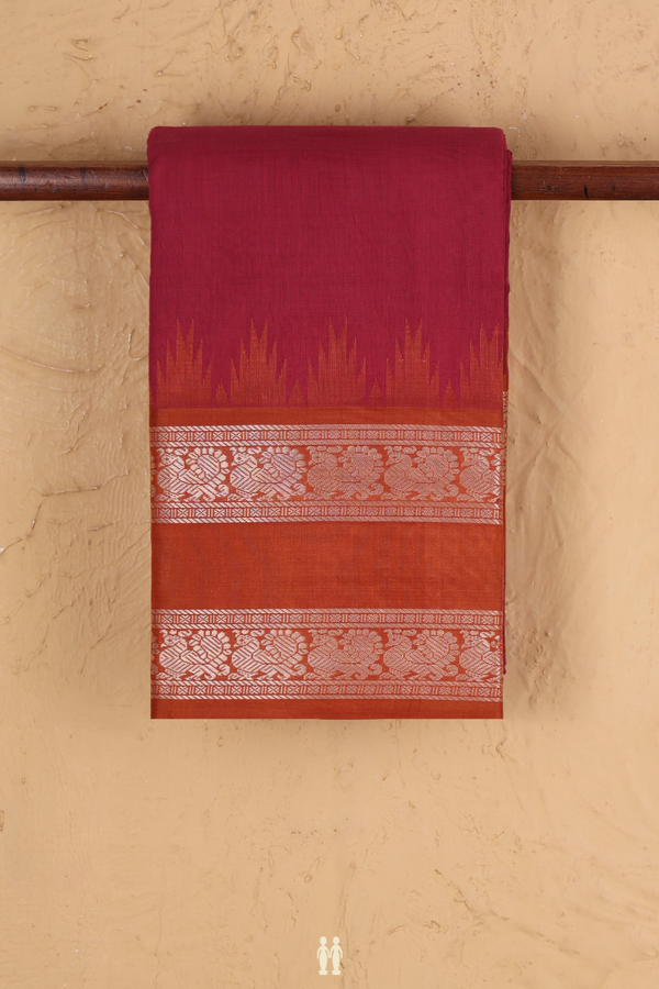 Kanchi Cotton Saree In Hibiscus Red With Temple Border