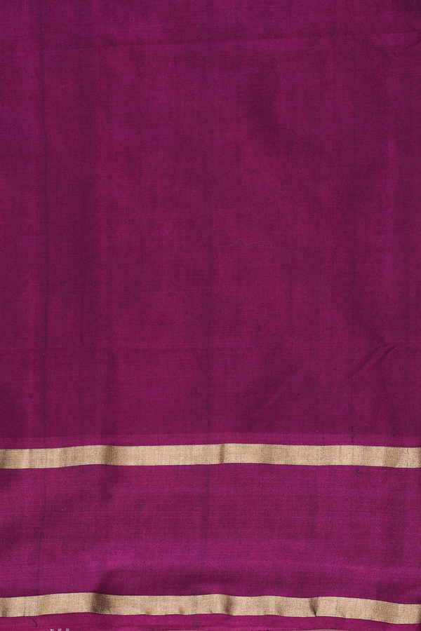 Kora Silk Cotton Saree In Pale Green With Ogee Design