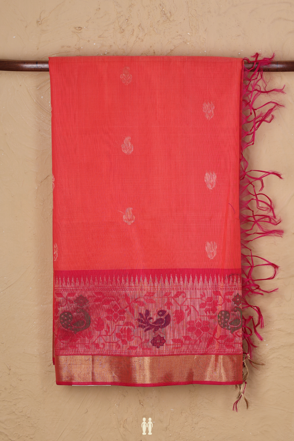 Kora Silk Cotton Saree In Coral Pink With Zari Buttas
