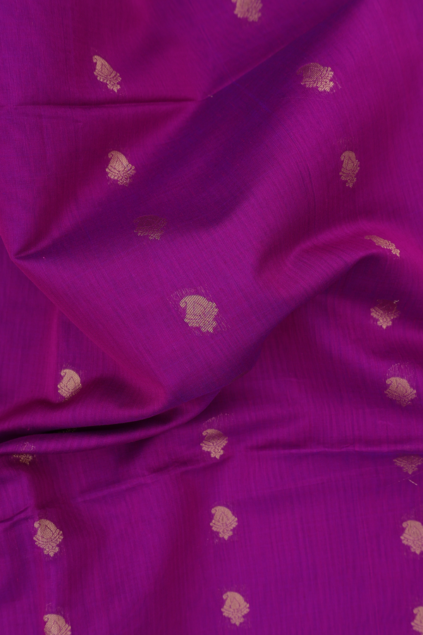 Kora Silk Cotton Saree In Grape Purple With Paisley Buttas