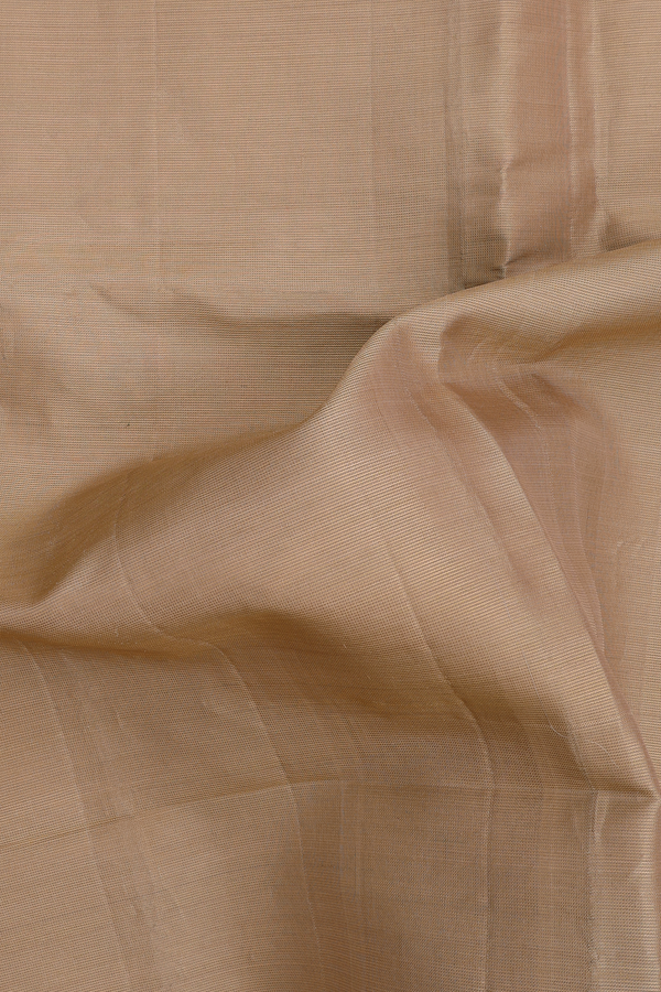Soft Silk Saree In Tissue Light Brown With Zari Border