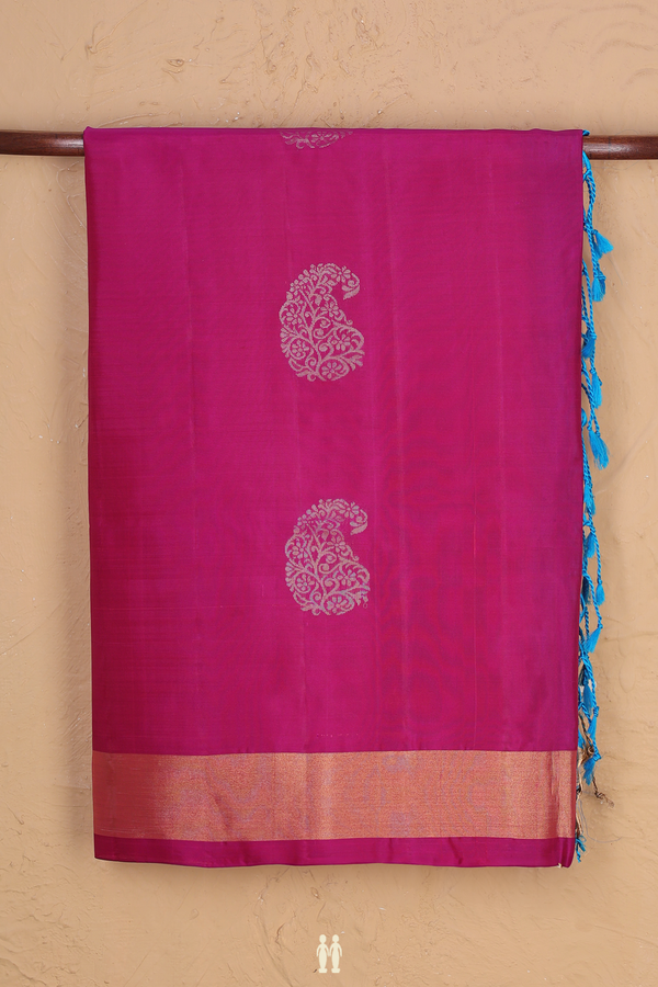 Soft Silk Saree In Purple Rose With Paisley Motifs