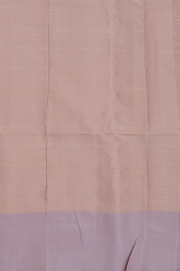 Soft Silk Saree In Tissue Light Brown With Zari Border