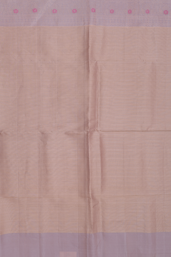 Soft Silk Saree In Tissue Light Brown With Zari Border