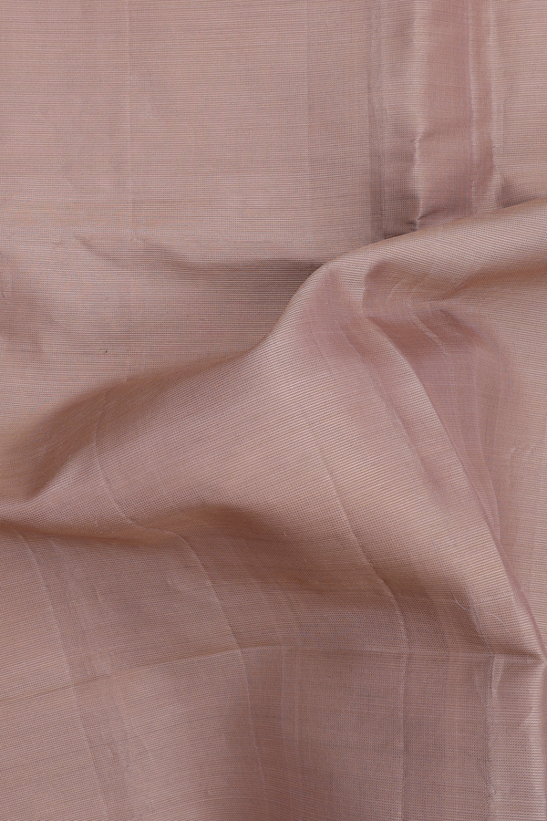 Soft Silk Saree In Tissue Light Brown With Zari Border