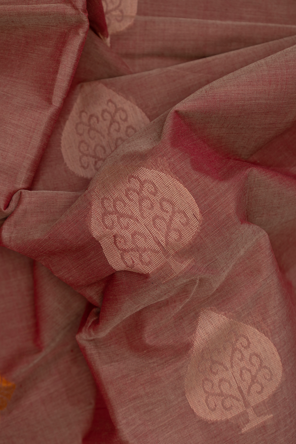 Coimbatore Cotton Saree Dual Tone With Threadwork Motifs