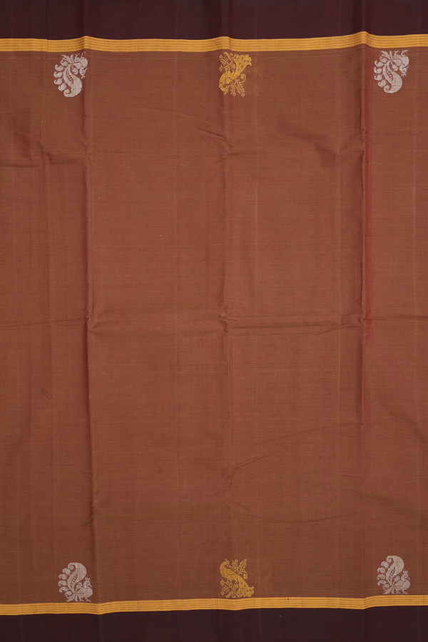 Kanchi Cotton Saree In Walnut Brown With Peacock Border