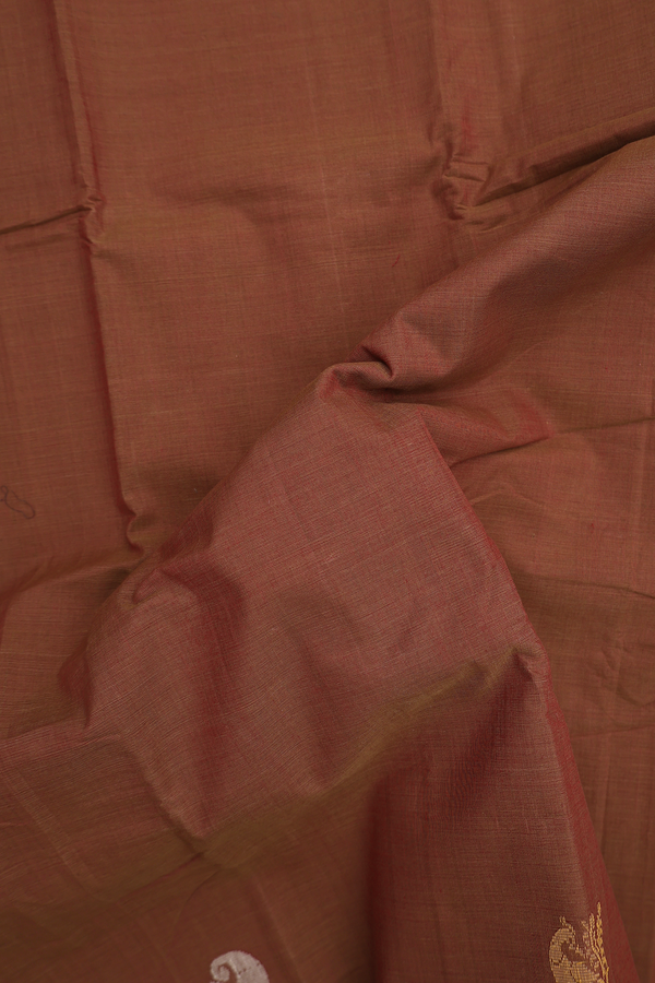 Kanchi Cotton Saree In Walnut Brown With Peacock Border