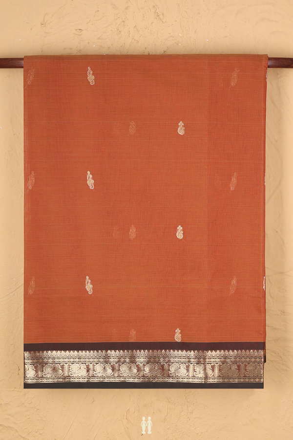 Coimbatore Cotton Saree In Burnt Orange With Zari Buttas