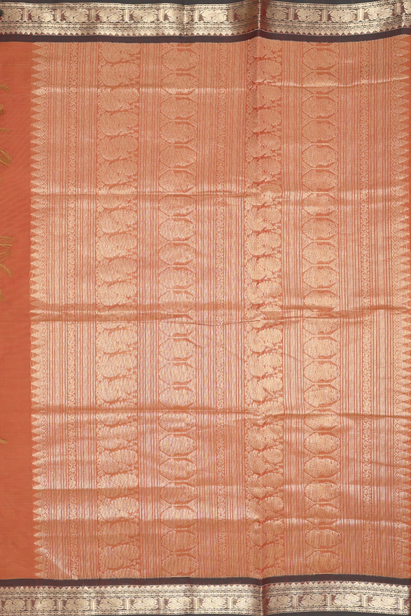 Coimbatore Cotton Saree In Burnt Orange With Zari Buttas