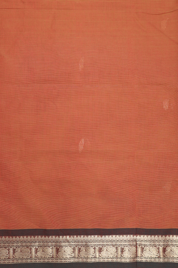 Coimbatore Cotton Saree In Burnt Orange With Zari Buttas