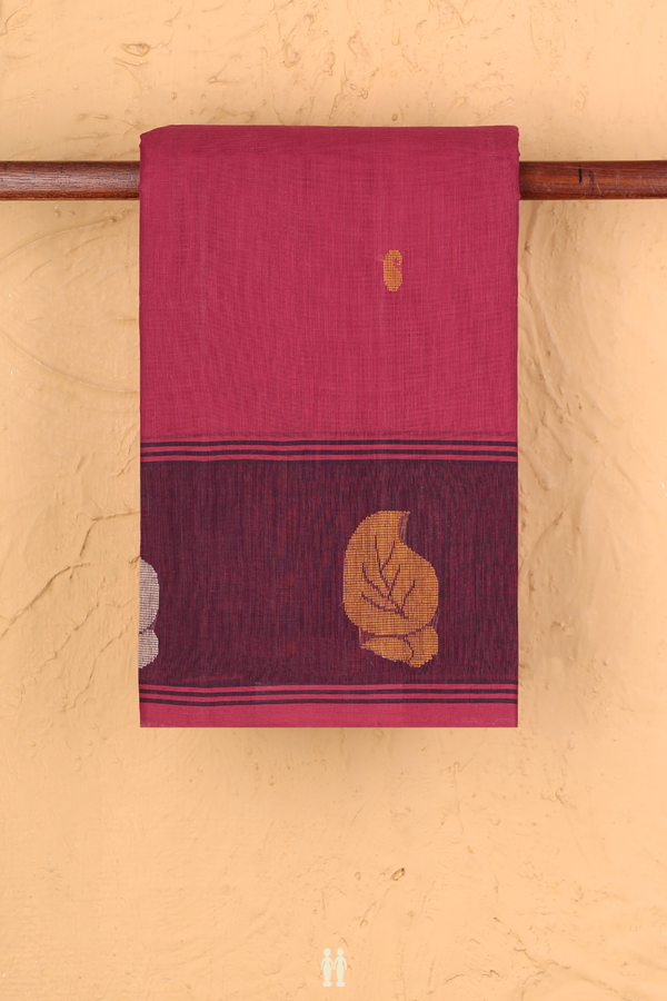 Kanchi Cotton Saree In Rose Red With Paisley Buttas